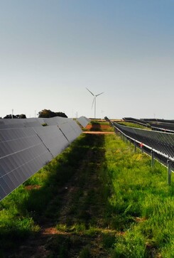 Engie, avviato il pi� grande parco agrovoltaico d'Italia (ANSA)