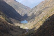 Valtellina, scoperto un ecosistema preistorico fossile