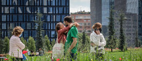 Prato in fiore a Porta Nuova Bosco Verticale. Immagine d'archivio