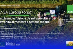 Il forum Ansa sulla visione sul futuro dell'agricoltura