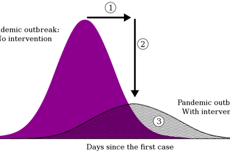 Rappresentazione schematica di una curva pandemica (fonte: Gufosowa)