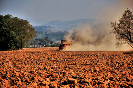 Via libera da Bruxelles a 90 milioni di aiuti italiani alla produzione agricola