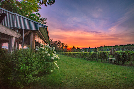 TRAVERSE CITY, MICHIGAN - CALICI DI VINO A SUON DI MUSICA