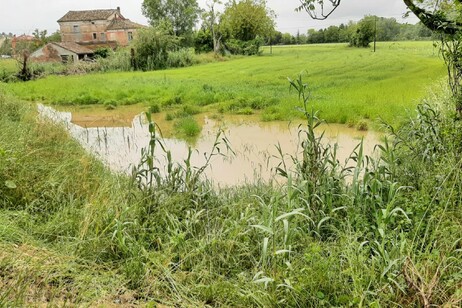 Alluvione Emilia Romagna e Marche (foto archivio)