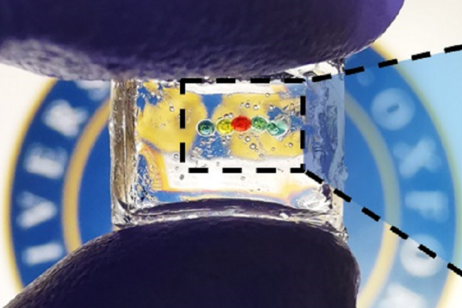 L'unità di 5 gocce di idrogel che costituisce la batteria (fonte: Yujia Zhang)