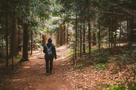 Passeggiare nella natura migliora il livello di attenzione