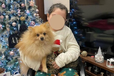 Ladri restituiscono il cane rubato alla bimba disabile