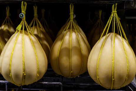 Provolone Valpadana Dop, in 2 mesi le vendite salgono del +13%