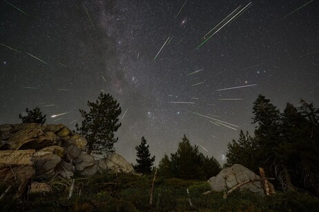 Lo sciame delle Perseidi. La foto evidenzia il radiante, nella costellazione Perseo (fonte: NASA/Preston Dyches)