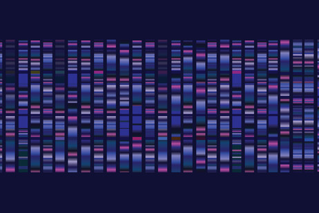 Esempio di mappa del Dna (fonte: Oselote, iStock)