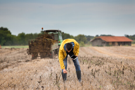 Parte un progetto di agricoltura sociale per recupero detenuti