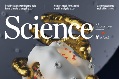 Ricerca italiana in copertina su Science