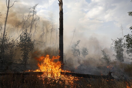 At least six injured in Russian shelling on Kharkiv, Ukraine