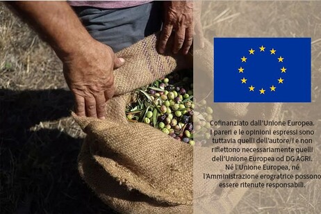 Al vaglio Ue regimi forfettari per piccole aziende agricole