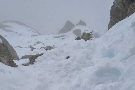 Le operazioni di soccorso dei due alpinisti bloccati sul Dente del Gigante