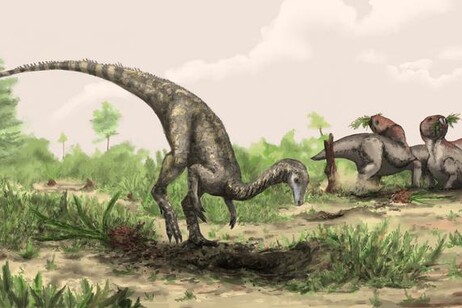 Il Nyasasaurus potrebbe essere il primo dinosauro conosciuto, o un parente stretto dei primi dinosauri (fonte:&nbsp;Mark Witton/The Trustees of the Natural History Museum, London)