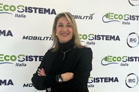 Maria Teresa Cicini nel gruppo BIG Ecosistema e Mobilità