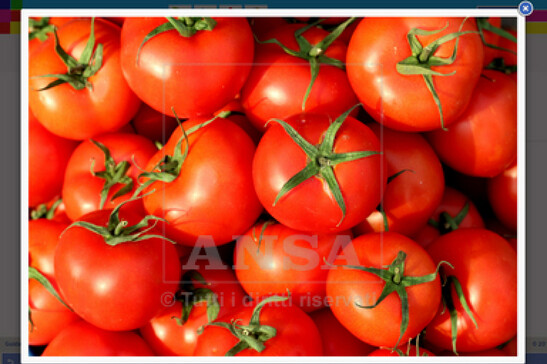 Riprodussero illecitamente pomodori protetti, risarciranno Aib