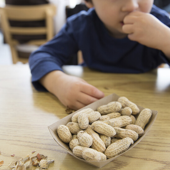 Al Meyer desensibilizzazione a 2500 bimbi con allergie alimenti