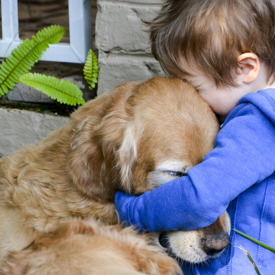 L'empatia fra esseri umani e cani è più profonda del previsto (fonte: Holly_Powers, iStock)