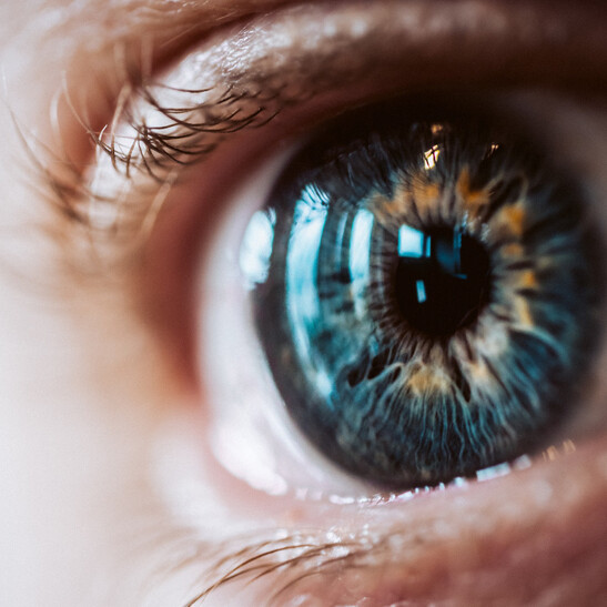 La cornea è lo strato trasparente più esterno dell'occhio (fonte: Freepik)