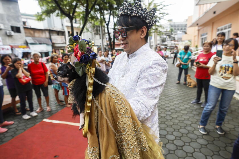 Pet fashion show held to mark World Animal Day in the Philippines © ANSA/EPA