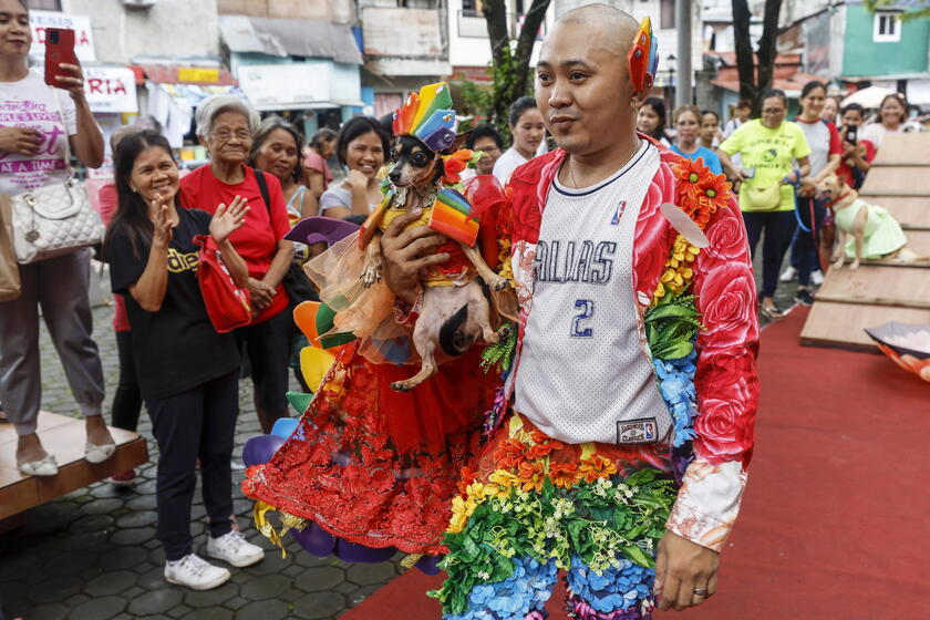 Pet fashion show held to mark World Animal Day in the Philippines © ANSA/EPA