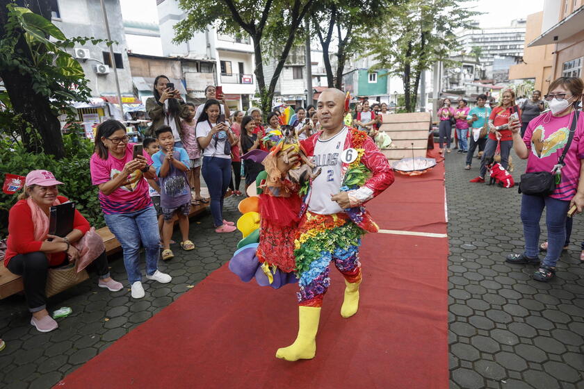 Pet fashion show held to mark World Animal Day in the Philippines © ANSA/EPA