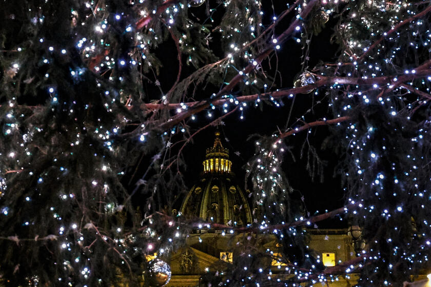 Accensione albero di Natale a San Pietro - RIPRODUZIONE RISERVATA