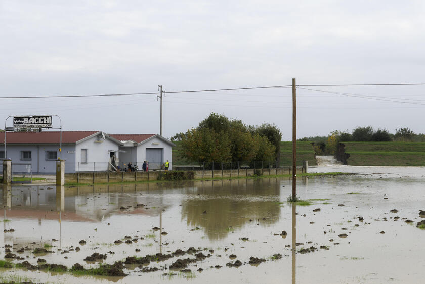 Maltempo: tracima il torrente Crostolo, evacuazioni nel Reggiano