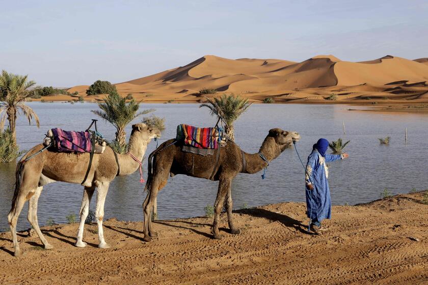 Sahara, alluvione nel deserto