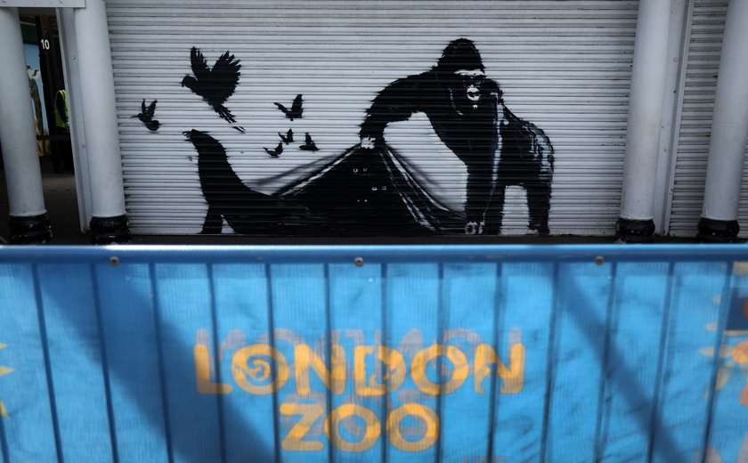 Ninth straight animal Banksy artwork at London Zoo confimred in London