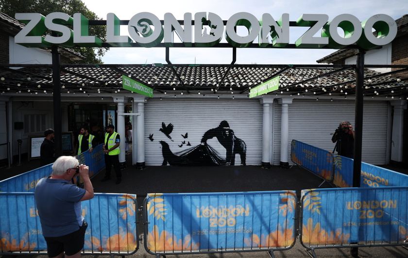 Ninth straight animal Banksy artwork at London Zoo confimred in London