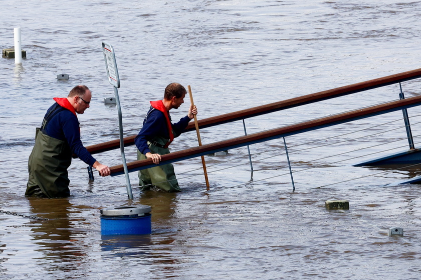 Flood alert in Saxony amid Elbe river's rising water level