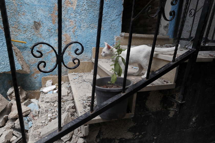 Palestinians inspect the damage after 9-day Israeli military operation in West Bank's Jenin