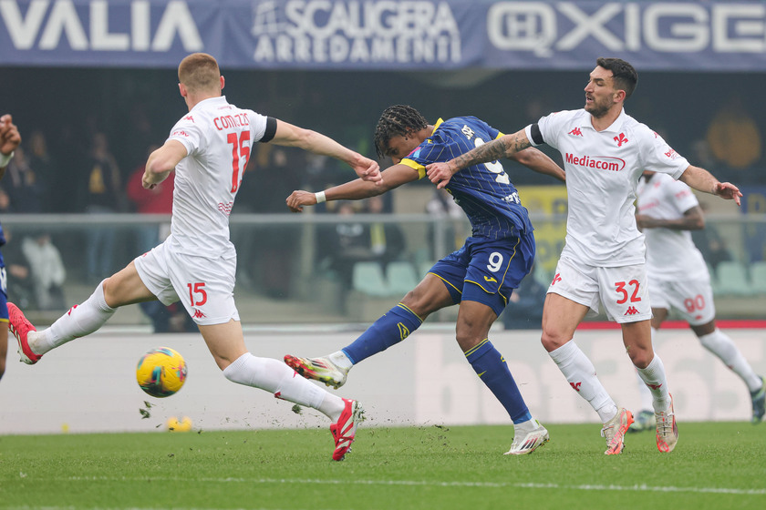 Serie A; Hellas Verona FC vs Fiorentina