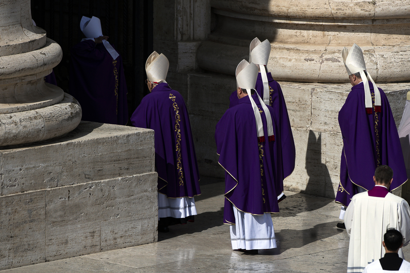 Cardinal Michael Czerny celebrates Holy Mass, Jubilee of the World of Volunteering