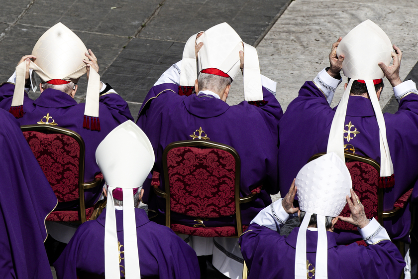 Cardinal Michael Czerny celebrates Holy Mass, Jubilee of the World of Volunteering