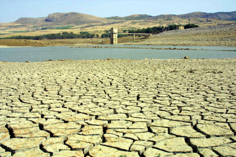 Coldiretti, -fino a 70% grano. E ' dramma siccità al Sud e nelle Isole - RIPRODUZIONE RISERVATA