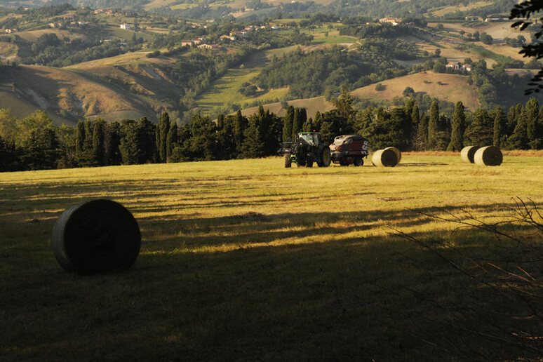 - RIPRODUZIONE RISERVATA