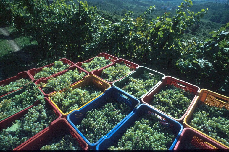 - RIPRODUZIONE RISERVATA