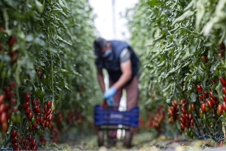 - RIPRODUZIONE RISERVATA