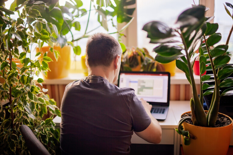 Un uomo lavora da remoto  foto iStock. - RIPRODUZIONE RISERVATA