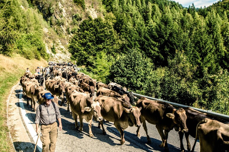 - RIPRODUZIONE RISERVATA