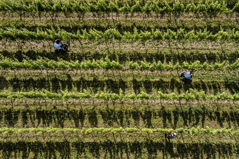 - RIPRODUZIONE RISERVATA