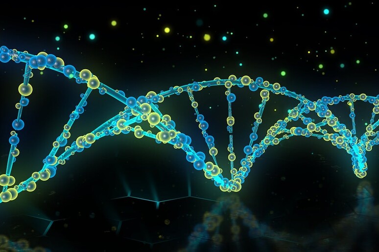 La mutazione colpisce il gene Rab32 nell’0,7% dei pazienti (fonte: pixabay) - RIPRODUZIONE RISERVATA