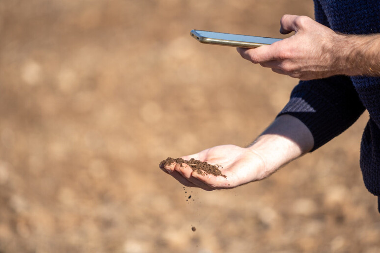 progetto dei giovani Confagricoltura di agricoltura rigenerativa - RIPRODUZIONE RISERVATA