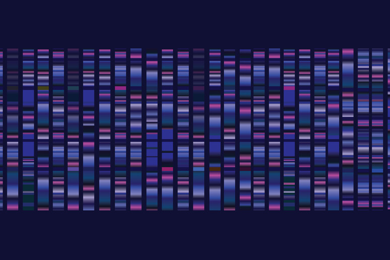 Esempio di mappa del Dna (fonte: Oselote, iStock) - RIPRODUZIONE RISERVATA