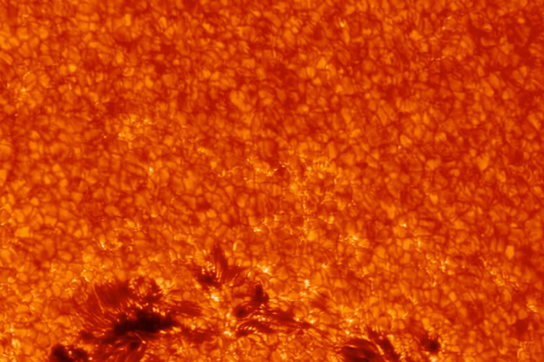 Le macchie solari sono provocate da concentrazioni di campi magnetici (fonte: NASA Goddard) - RIPRODUZIONE RISERVATA