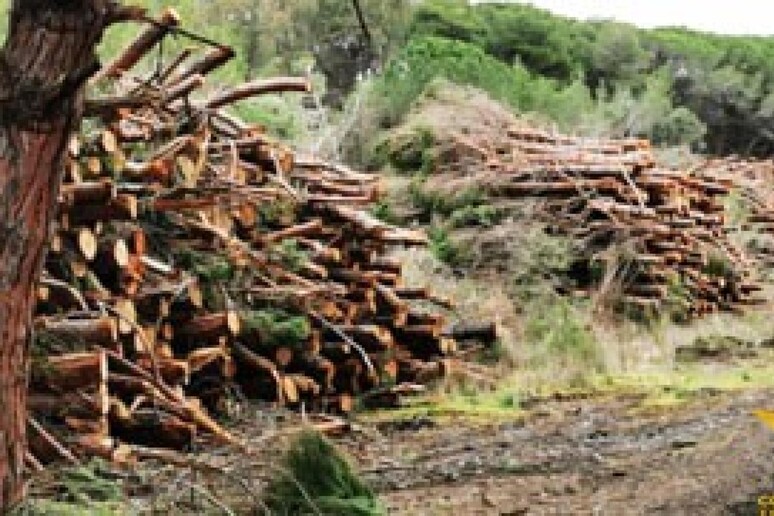 - RIPRODUZIONE RISERVATA